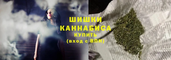 МДПВ Заводоуковск