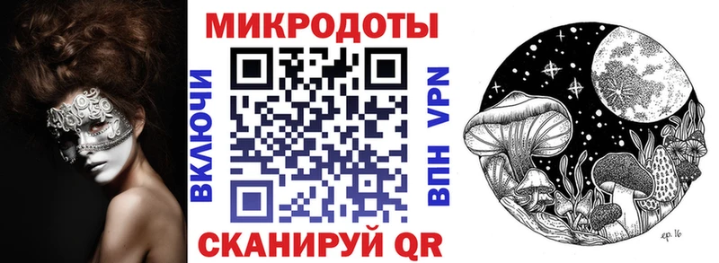 Галлюциногенные грибы Psilocybe Карасук